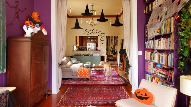 Celebrate Summerween: Embrace Whimsy in