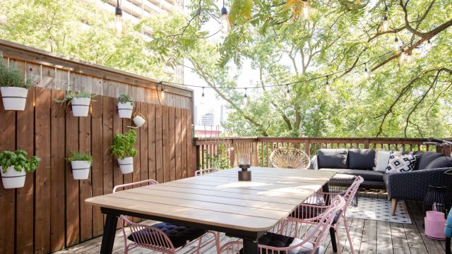 Innovative Indoor Gardening: Transformin