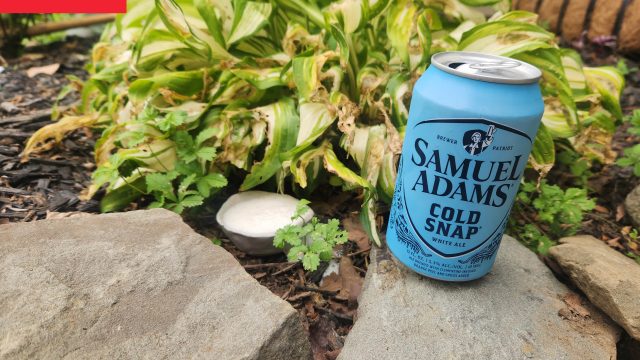 Innovative Gardening Tip: Use Beer to De
