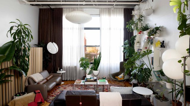 Embracing DIY Decor: The Allure of Stylish, Affordable Lighting