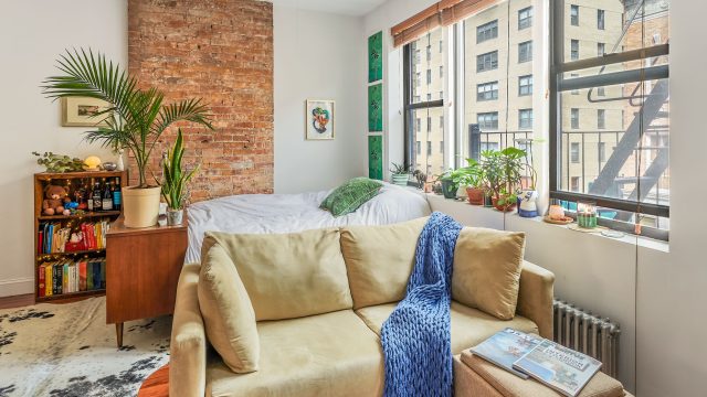 Innovative Furniture Ideas for Small Spaces: Pet-Friendly Designs