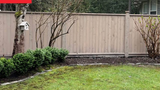 Transforming a Dull Backyard Corner into