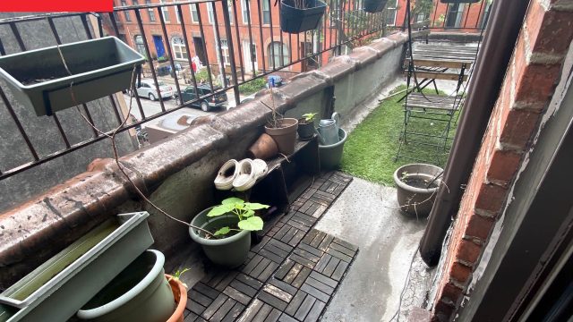 Transform Your Balcony into a Vibrant Escape: Tips for Renters
