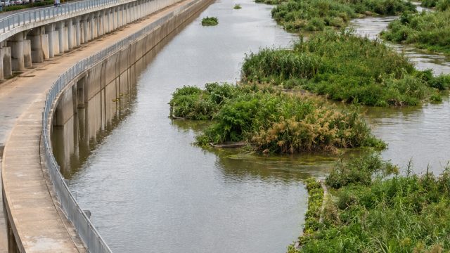 Vietnam's Dual Approach to Flood Management: Concrete and Nature Unite