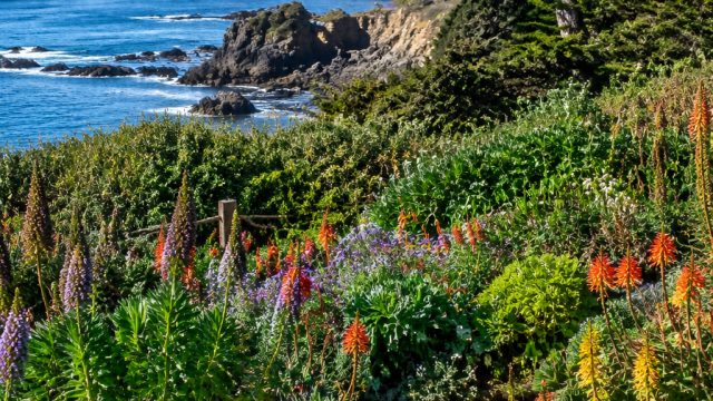 Explore the Coastal Splendor of Mendocin