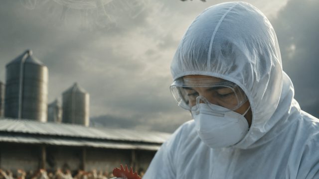 Rising Threat of H5N1 Bird Flu: What You