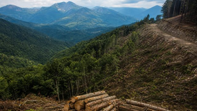 Bosnia and Herzegovina Steps Up for EU D