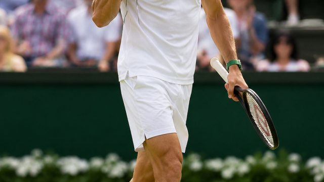 Dimitrov Advances to Quarterfinals at ATP250 Mallorca with Strong Win