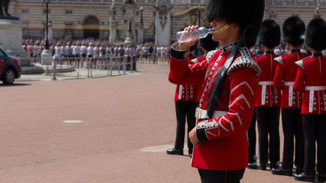 Buckingham Palace Halts Changing of the 