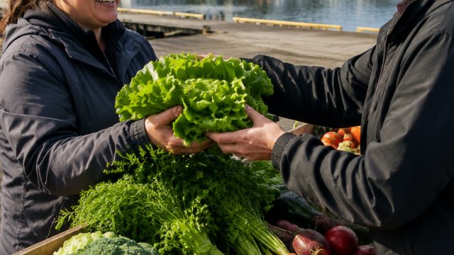 New Funding Revolutionizes Healthy Food Access in Newfoundland